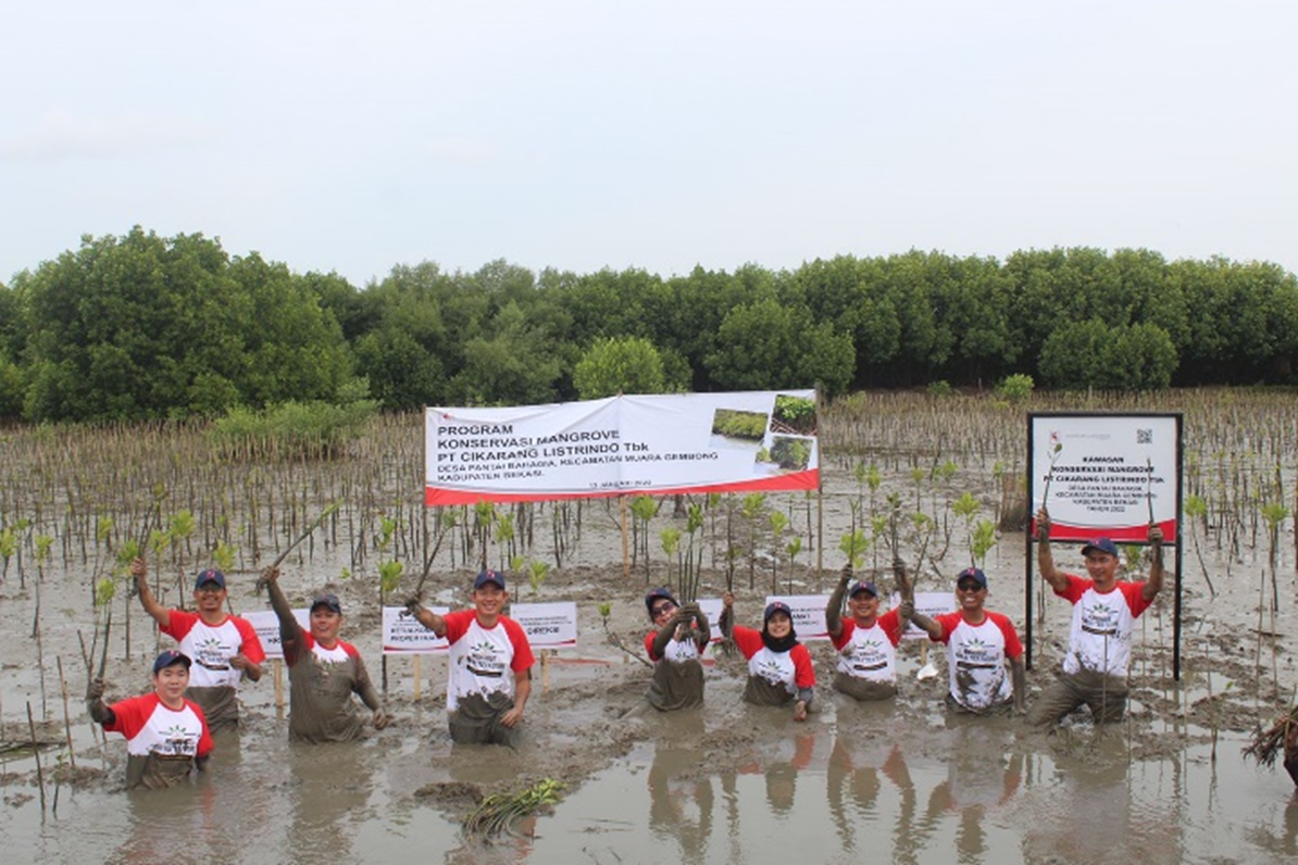 Program Konservasi Mangrove Desa Pantai Bahagia Kec. Muaragembong